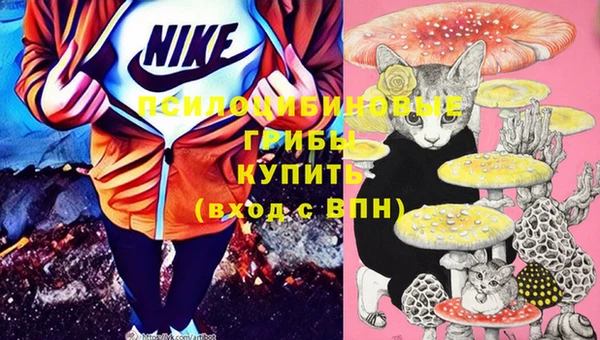 мдпв Балахна