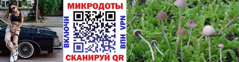 Псилоцибиновые грибы Psilocybine cubensis дарнет шоп Нижние Серги